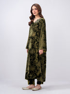 2 Piece Velvet Suit- Embroidered (Pret)