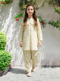 2 Piece Lawn Suit (Pret)