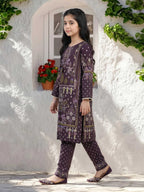 2 Piece Lawn Suit (Pret)