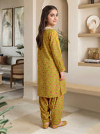 2 Piece Lawn Suit- Embroidered (Pret)