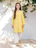 2 Piece Lawn Slub Suit- Embroidered (Pret)