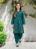 2 Piece Lawn Suit- Embroidered (Pret)