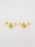 Hoops Earrings