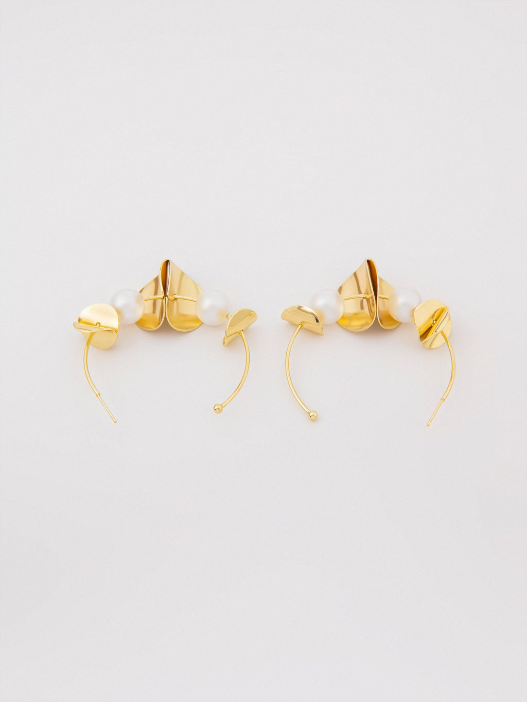 Hoops Earrings