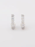 Curved Earrings