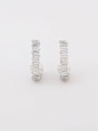 Curved Earrings
