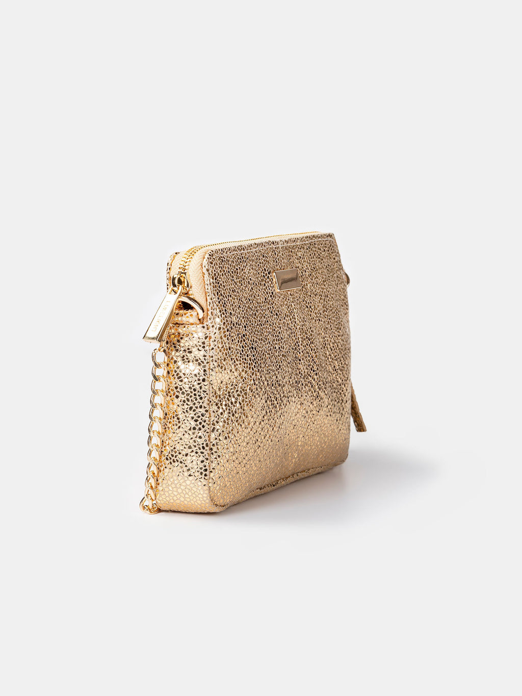 Glitter Clutch