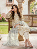 2 Piece Lawn Suit (Unstitched)